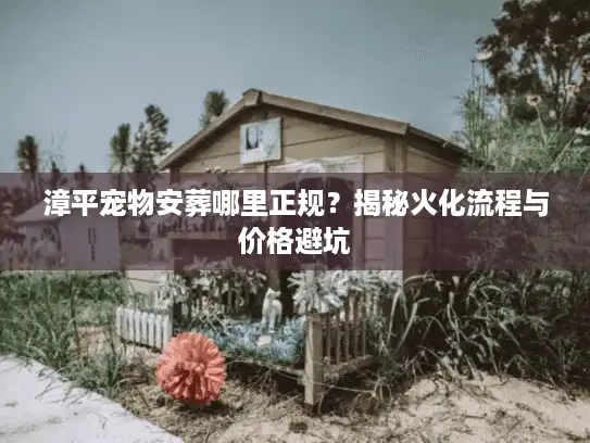漳平宠物安葬哪里正规？揭秘火化流程与价格避坑