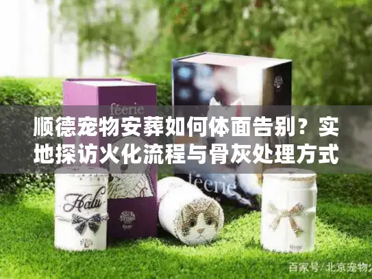 顺德宠物安葬如何体面告别？实地探访火化流程与骨灰处理方式