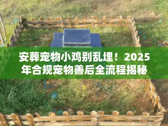 安葬宠物小鸡别乱埋！2025年合规宠物善后全流程揭秘