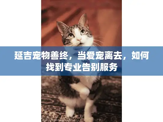 延吉宠物善终，当爱宠离去，如何找到专业告别服务