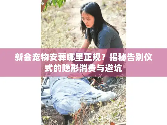 新会宠物安葬哪里正规？揭秘告别仪式的隐形消费与避坑