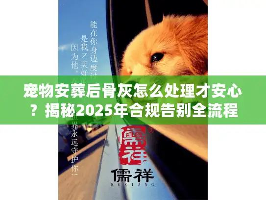 宠物安葬后骨灰怎么处理才安心？揭秘2025年合规告别全流程
