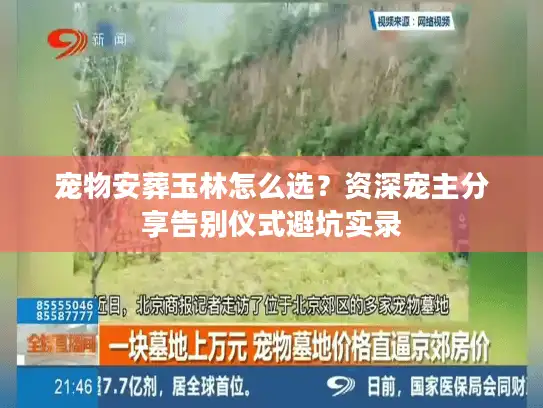 宠物安葬玉林怎么选？资深宠主分享告别仪式避坑实录