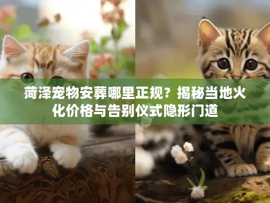 菏泽宠物安葬哪里正规？揭秘当地火化价格与告别仪式隐形门道