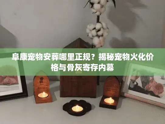 阜康宠物安葬哪里正规？揭秘宠物火化价格与骨灰寄存内幕