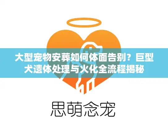 大型宠物安葬如何体面告别？巨型犬遗体处理与火化全流程揭秘