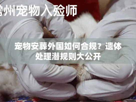 宠物安葬外国如何合规？遗体处理潜规则大公开
