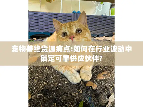 宠物善终货源痛点:如何在行业波动中锁定可靠供应伙伴?