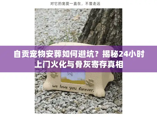 自贡宠物安葬如何避坑？揭秘24小时上门火化与骨灰寄存真相