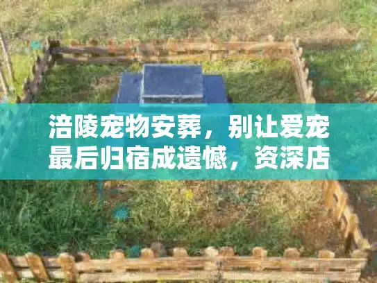 涪陵宠物安葬，别让爱宠最后归宿成遗憾，资深店主揭秘内幕