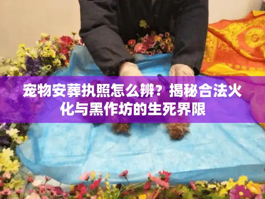 宠物安葬执照怎么辨？揭秘合法火化与黑作坊的生死界限