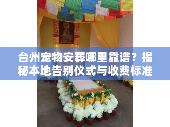 台州宠物安葬哪里靠谱？揭秘本地告别仪式与收费标准