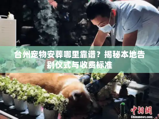 台州宠物安葬哪里靠谱？揭秘本地告别仪式与收费标准