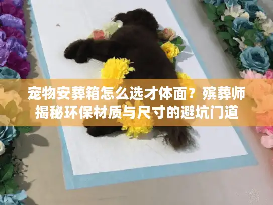 宠物安葬箱怎么选才体面？殡葬师揭秘环保材质与尺寸的避坑门道