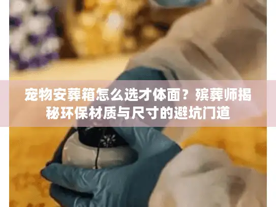 宠物安葬箱怎么选才体面？殡葬师揭秘环保材质与尺寸的避坑门道