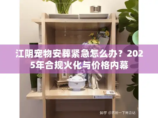 江阴宠物安葬紧急怎么办？2025年合规火化与价格内幕