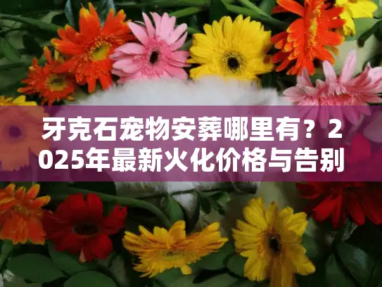 牙克石宠物安葬哪里有？2025年最新火化价格与告别仪式全揭秘
