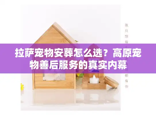 拉萨宠物安葬怎么选？高原宠物善后服务的真实内幕