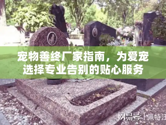宠物善终厂家指南，为爱宠选择专业告别的贴心服务