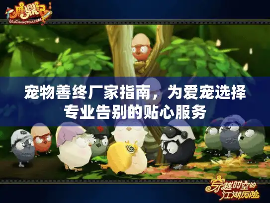 宠物善终厂家指南，为爱宠选择专业告别的贴心服务