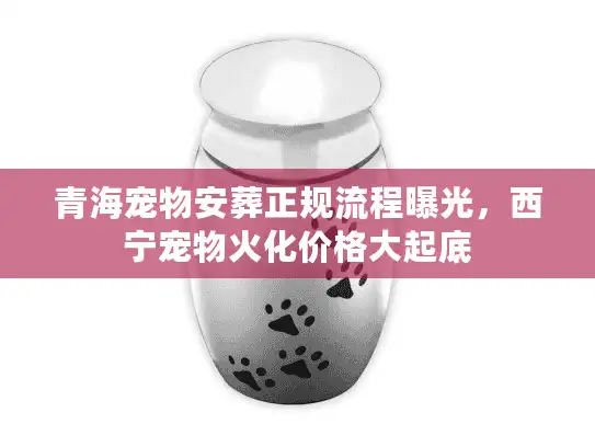 青海宠物安葬正规流程曝光，西宁宠物火化价格大起底
