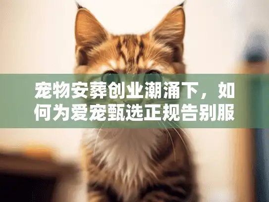 宠物安葬创业潮涌下，如何为爱宠甄选正规告别服务？