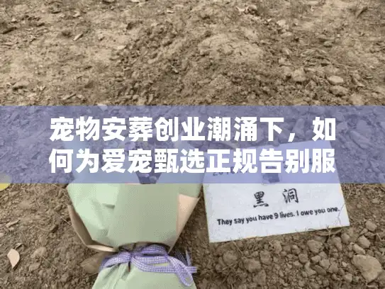 宠物安葬创业潮涌下，如何为爱宠甄选正规告别服务？