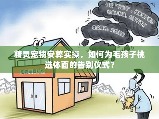 精灵宠物安葬实操，如何为毛孩子挑选体面的告别仪式？