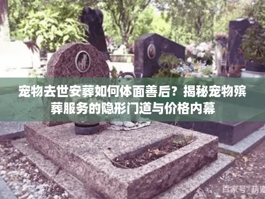 宠物去世安葬如何体面善后？揭秘宠物殡葬服务的隐形门道与价格内幕
