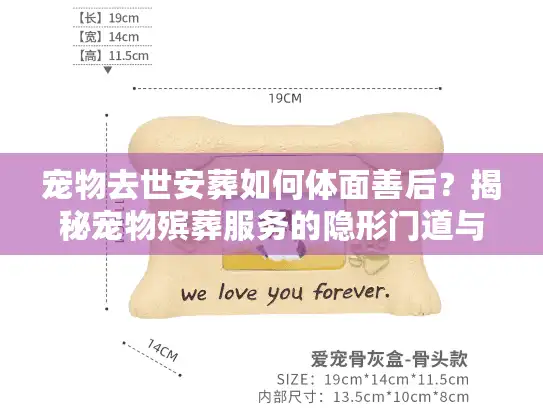 宠物去世安葬如何体面善后？揭秘宠物殡葬服务的隐形门道与价格内幕