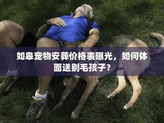 如皋宠物安葬价格表曝光，如何体面送别毛孩子？