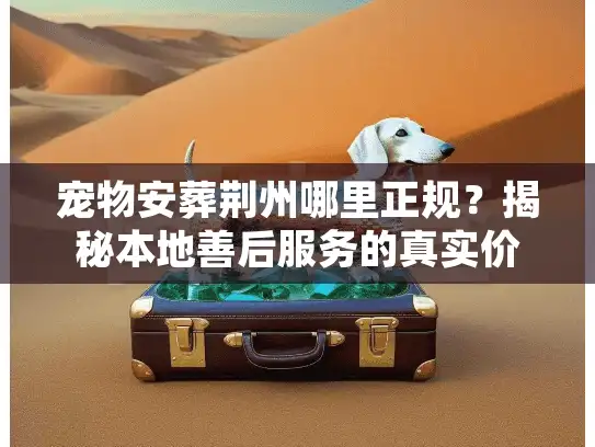 宠物安葬荆州哪里正规？揭秘本地善后服务的真实价格与流程