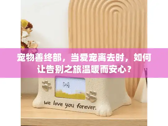 宠物善终部，当爱宠离去时，如何让告别之旅温暖而安心？