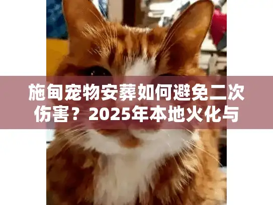 施甸宠物安葬如何避免二次伤害？2025年本地火化与告别仪式全揭秘