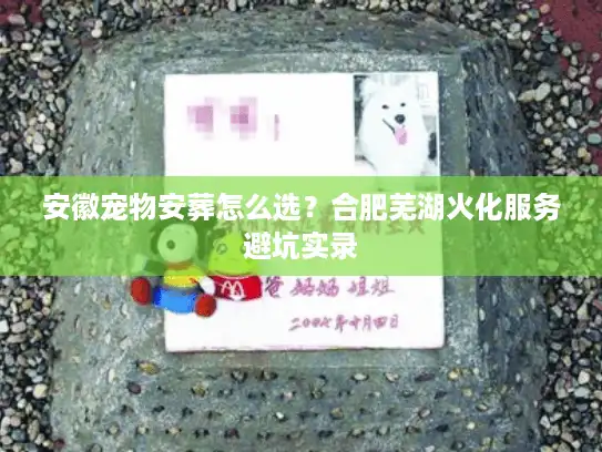 安徽宠物安葬怎么选？合肥芜湖火化服务避坑实录