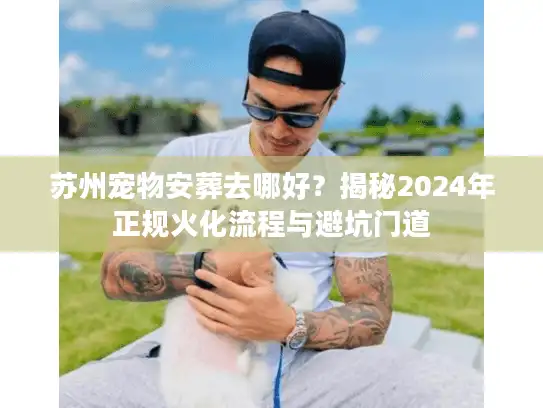 苏州宠物安葬去哪好？揭秘2024年正规火化流程与避坑门道