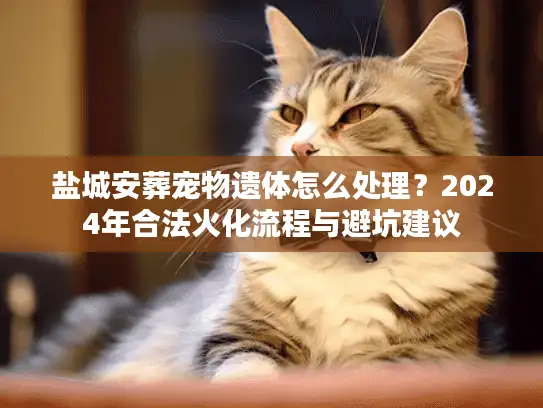 盐城安葬宠物遗体怎么处理？2024年合法火化流程与避坑建议