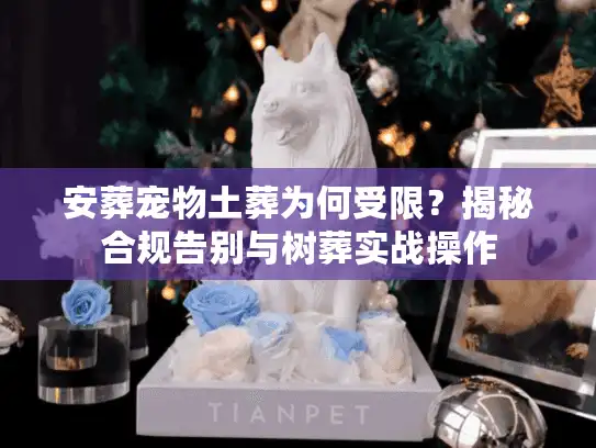 安葬宠物土葬为何受限？揭秘合规告别与树葬实战操作