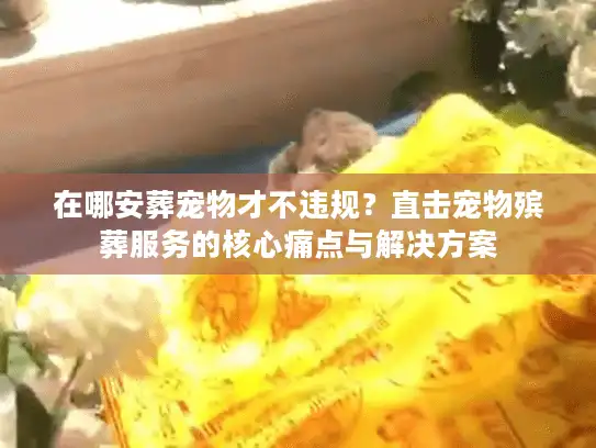 在哪安葬宠物才不违规？直击宠物殡葬服务的核心痛点与解决方案