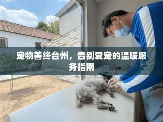 宠物善终台州，告别爱宠的温暖服务指南