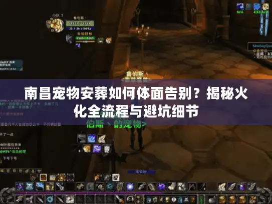 南昌宠物安葬如何体面告别？揭秘火化全流程与避坑细节
