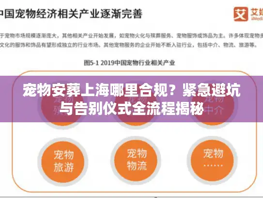 宠物安葬上海哪里合规？紧急避坑与告别仪式全流程揭秘