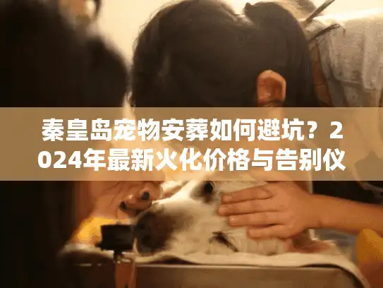 秦皇岛宠物安葬如何避坑？2024年最新火化价格与告别仪式细节