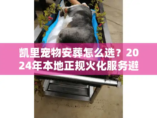 凯里宠物安葬怎么选？2024年本地正规火化服务避坑与价格揭秘