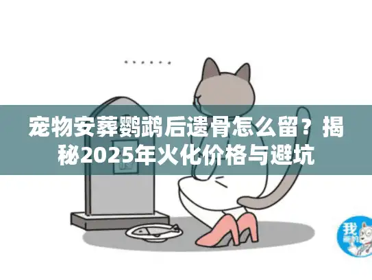 宠物安葬鹦鹉后遗骨怎么留？揭秘2025年火化价格与避坑
