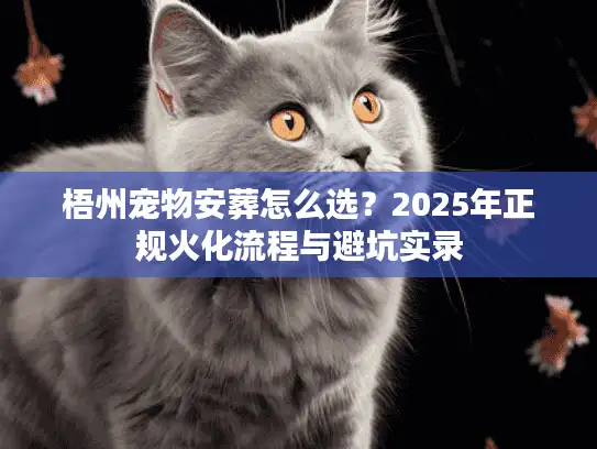 梧州宠物安葬怎么选？2025年正规火化流程与避坑实录