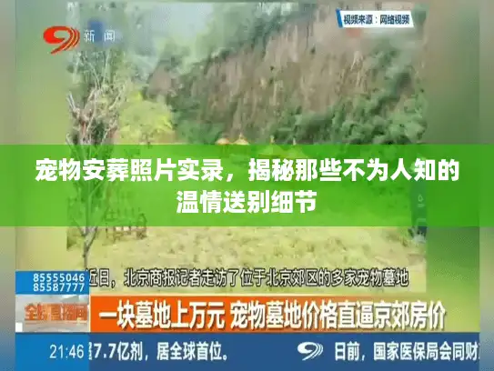 宠物安葬照片实录，揭秘那些不为人知的温情送别细节