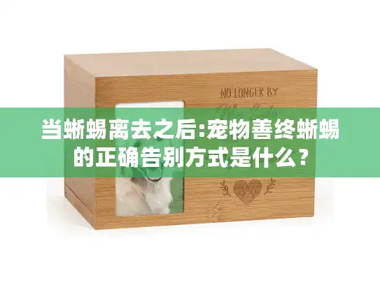 当蜥蜴离去之后:宠物善终蜥蜴的正确告别方式是什么？