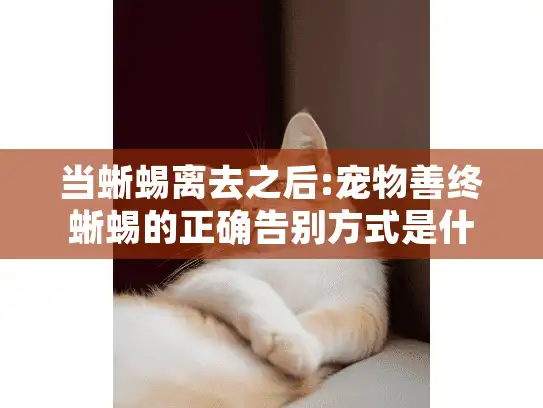 当蜥蜴离去之后:宠物善终蜥蜴的正确告别方式是什么？