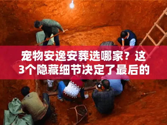 宠物安逸安葬选哪家？这3个隐藏细节决定了最后的告别是否温馨